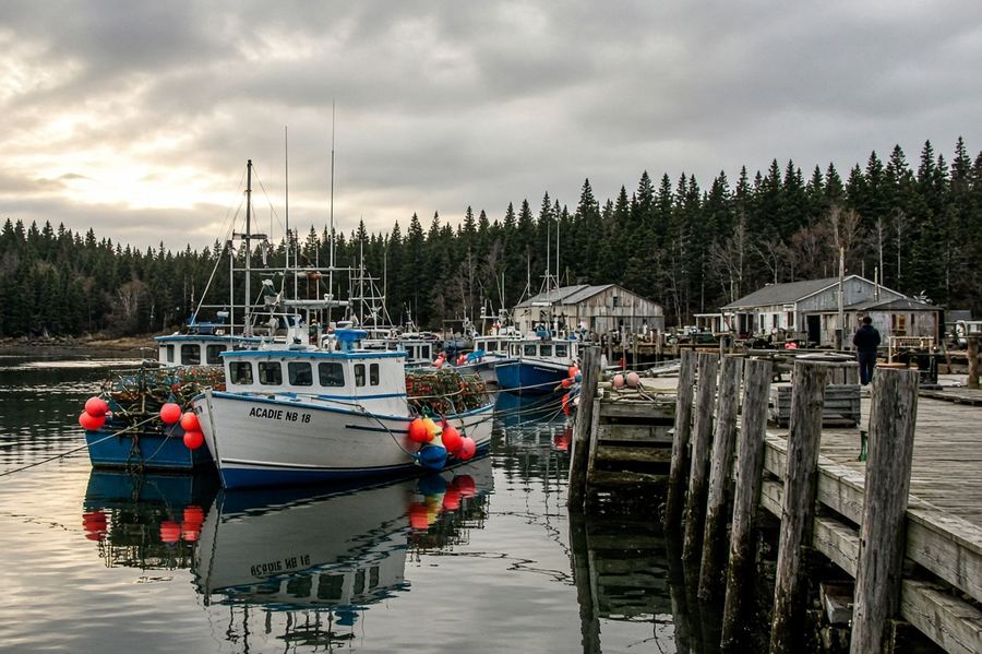 Paysage du Nouveau-Brunswick — Lamèque